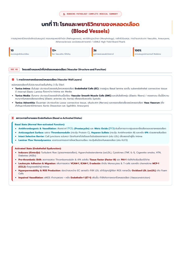 หน้าแรกจริงจาก PDF Blood Vessels & Vascular Pathology